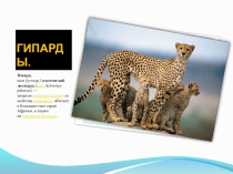 Презентация по окружающему миру на темуЖивотные Гепарды. Работу подготовила ученица 1 А класса МБОУ-кадетской школы №95,г.о.Самара КУЛИКОВА АНАСТАСИЯ.