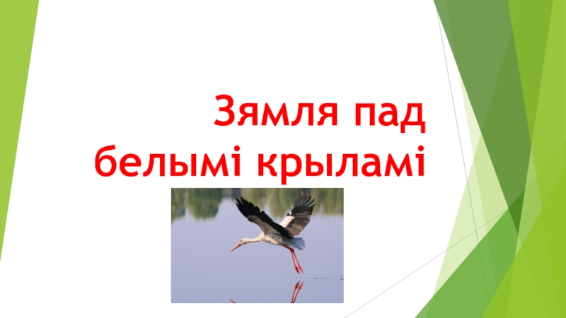 Караткевіч зямля пад белымі крыламі. Зямля пад белымі крыламі. Зямля пад белыми крылами. Зямля пад белымі крыламі Уладзімір Караткевіч. Зямля пад белымі крыламі рисунок.