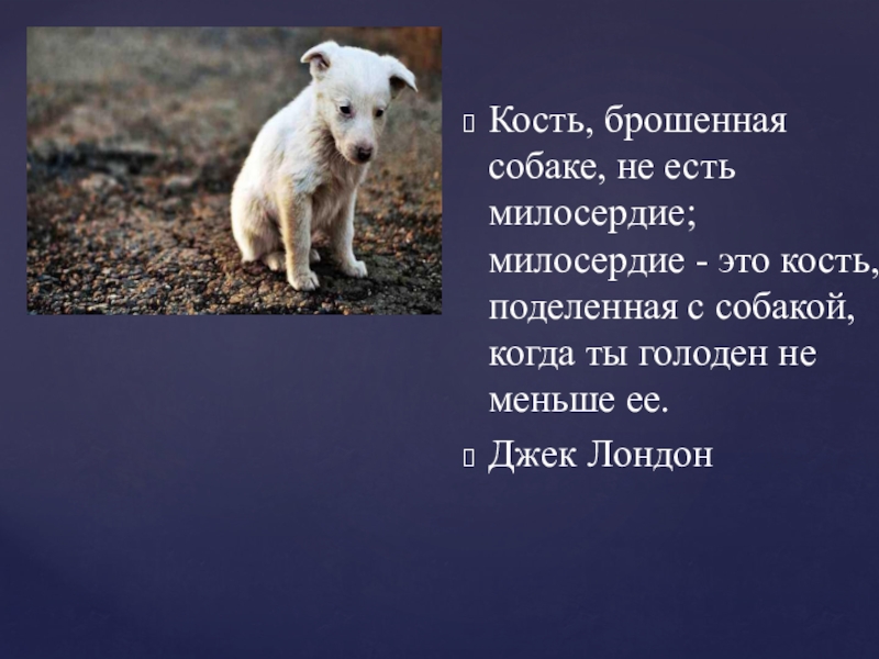 Бросить кость значение. Кость брошенная собаке Джек Лондон. Кость брошенная собаке не есть Милосердие. Джек Лондон Милосердие это не кость брошенная собаке. Кость брошенная собаке Милосердие.