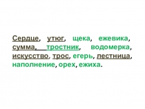 Презентация к уроку им. сущ.