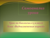 Презентация к уроку Самоанализ к уроку Видоизменения корней