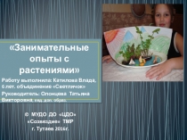 Презентация по экологии Занимательные опыты с растениями (для дошкольников 6-7 лет)