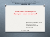 Презентация Бактерии - враги или друзья?