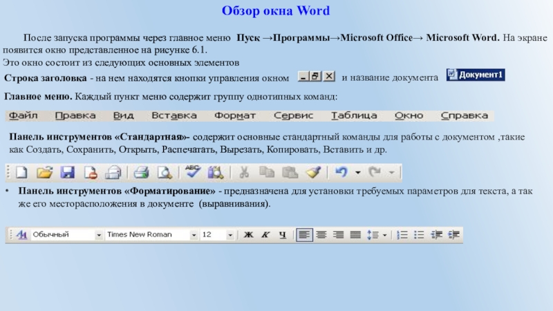 Меню окна word. Меню окно Word. Меню окно в Ворде. MS Word главное меню. Меню программы MS Word.