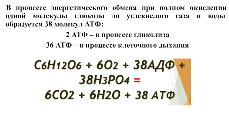 Окисление 1 молекулы глюкозы. При полном окислении Глюкозы образуется 38 молекул АТФ. При полном окислении Глюкозы образуется вода и. При полном окислении одной молекулы Глюкозы. Энергетический выход полного окисления 1 молекулы Серина.