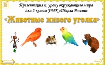 Презентация по окружающему миру