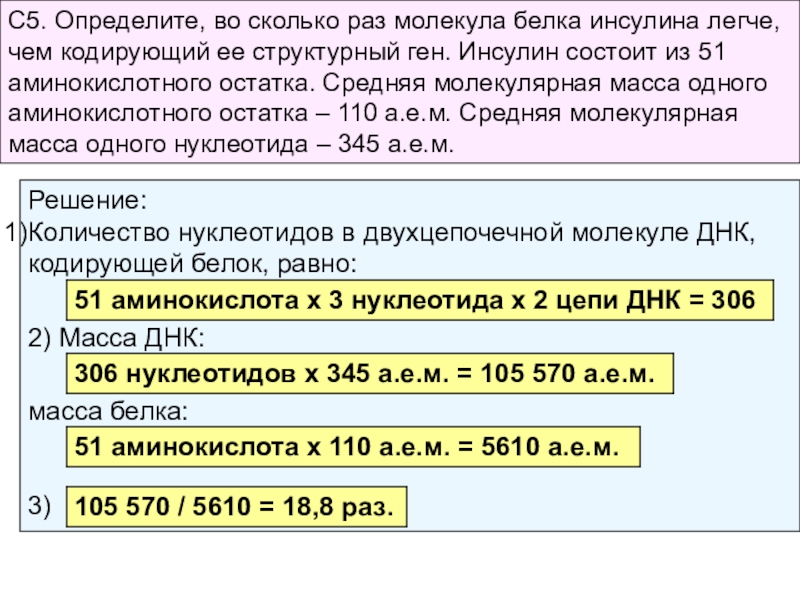 Молекулярная масса аминокислоты. Средняя молекулярная масса ДНК-. Определите массу ДНК. Вес одного нуклеотида. Молекулярная масса нуклеотида составляет.