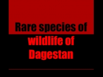 Презентация по английскому языку Редкие виды животного мира Дагестана