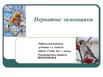 Презентация по окружающему миру на тему: Пернатые зимовщики