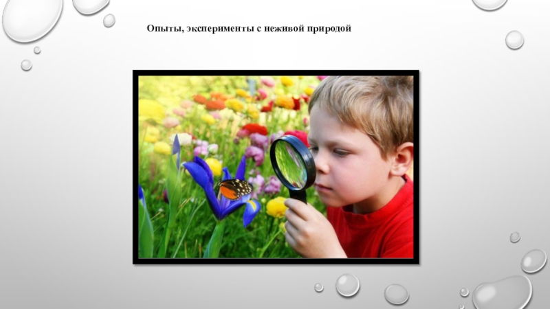 Наблюдение за объектами живой природы. Эксперименты с живой природой. Экспериментирование с живой и неживой природой. Опыты с неживой природой. Опыты для детей с неживой природой.