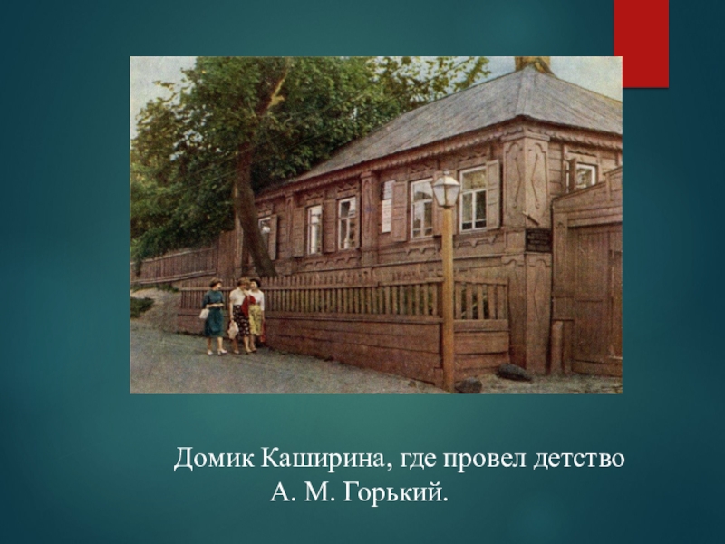 Где провел детство. Старое дерево дуба около музея домик Каширина. Дом где провел детство Максим Горький. Дуб около домика Каширина. Дом Кашириных детство.