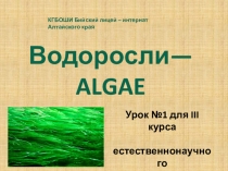 Презентация по биологии растений