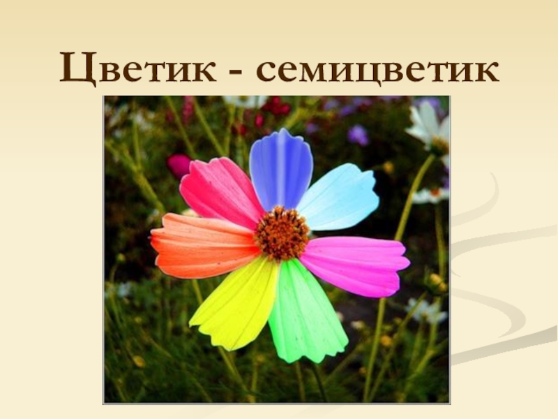 Изо 1 класс презентации цветы. Цветик семицветик изо. Спасибо за внимание Цветик семицветик. Цветик семицветик изо 1 класс. Презентация по изо Волшебный цветок 1 класс.