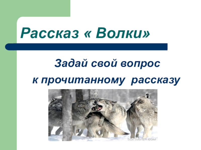 Волки урок. Рассказ о волке. Рассказ про Волков. Расскажи презентацию волка. Рассказы о волках читать.