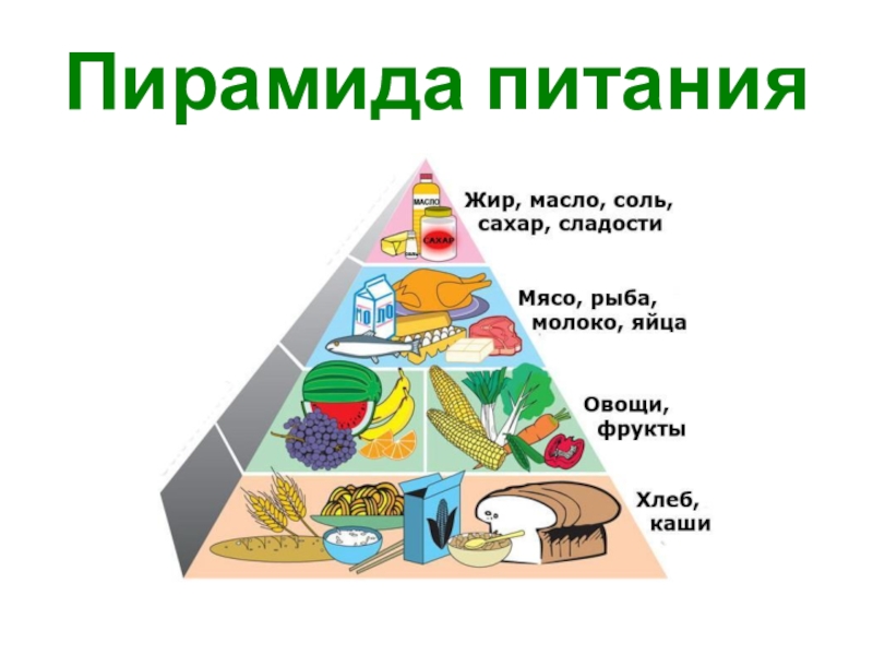 Правильное питание обж 8 класс презентация