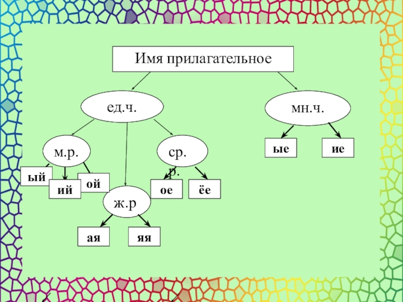 Зависит от рода