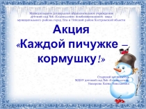 Презентация Каждой пичужке -кормушку