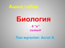 Презентация по биологии на тему Қанқа бөлімдері