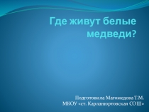 Презентация по окружающему миру Где живут белые медведи?