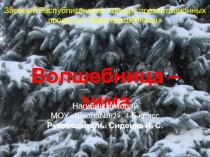 Презентация по окружающему миру Зима-волшебница (3 класс)