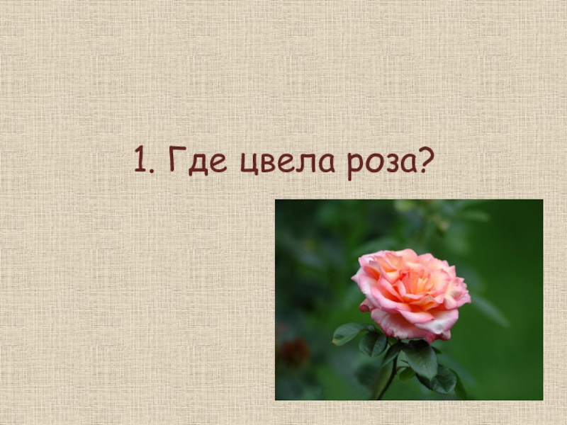 Гаршин сказка о розе. Кроссворд по сказке о жабе и Розе. Сказка о жабе и Розе кроссворд. Викторина роза. Викторина по сказке о жабе и Розе.