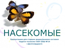 Презентация для закрепления группы насекомые ( старшие дошкольники)