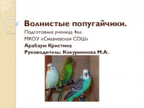 Исследовательская работа младших школьников