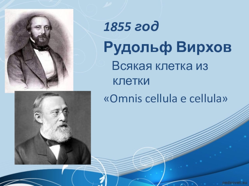 Каждая клетка из клетки. Рудольф Вирхов Омнис. 1855 Вирхов. Вирхов клетка. Вирхов 1855 год.