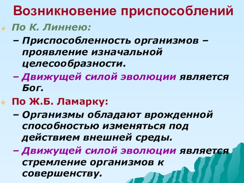 Лабораторная работа приспособление организмов. Целесообразность приспособленности. Линней приспособленность организмов. Изменчивость организмов по Линнею. Возникновение приспособлений у организмов Линней.