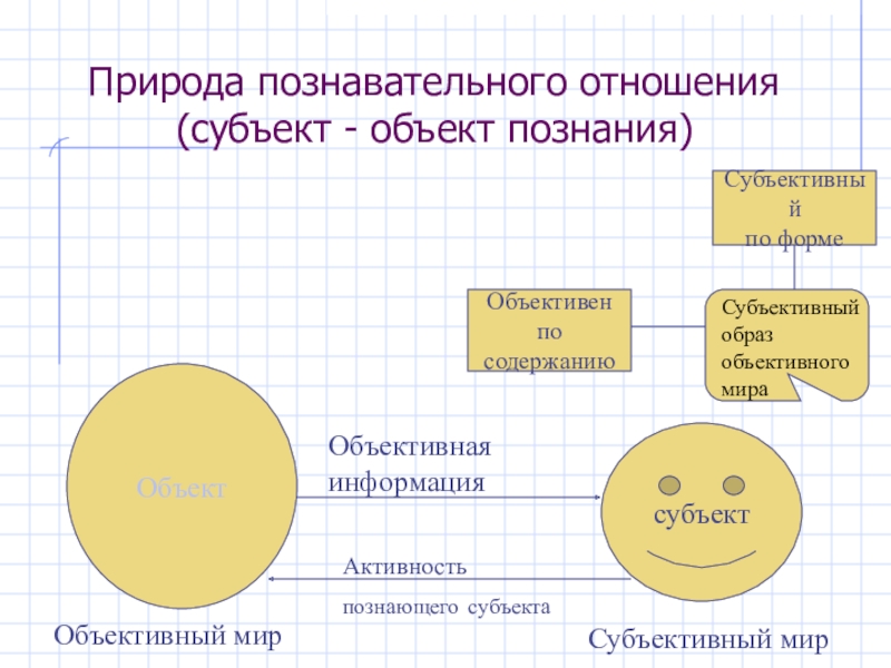 Субъективный образ. Субъективный образ мира это. Модели познавательного отношения. Субъективный мир. Субъективный имидж