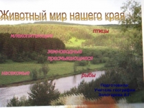 Презентация по географии Животный мир Южного Урала