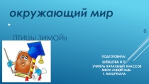 Презентация к уроку окружающего мира Птицы зимой