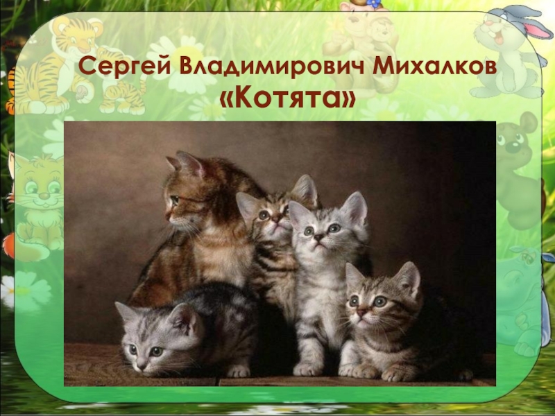 Презентация про котят