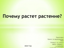 Презентация. Проект  Почему растут растение?