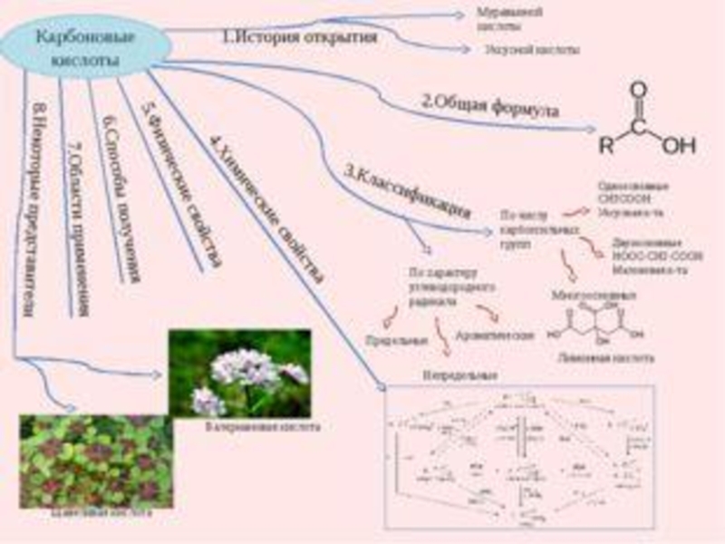 Соляной 9 карта