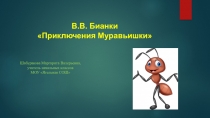 Презентация к уроку Приключения муравьишки по рассказу В.Бианки