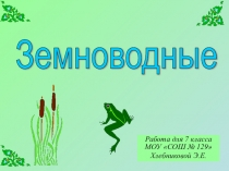 Презентация