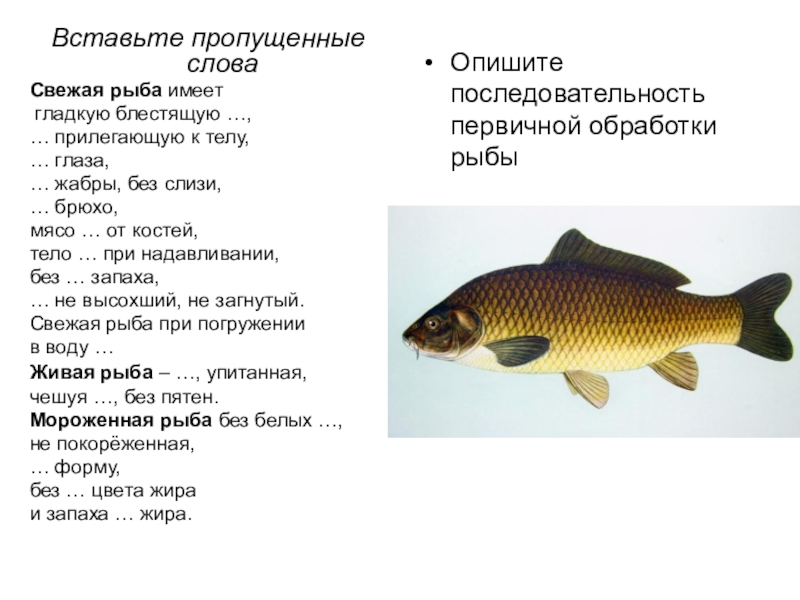 Рыба предложения. Слово рыба. Форма слова рыба. Формы слова к слову рыба. К чешуйчатым рыбам относятся.