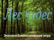 Мультимедийная эколого-биологическая игра Лес чудес