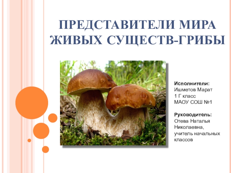 Презентация Презентация по окружающему миру Представители мира живых существ-грибы