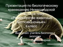 Презентация по биологическому краеведению Нижегородской области на тему  Разнообразие животных.Беспозвоночные (6 класс)