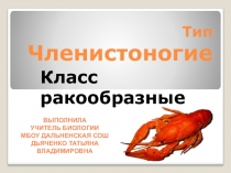 Презентация по биологии на тему Тип членистоногие. Класс ракообразные