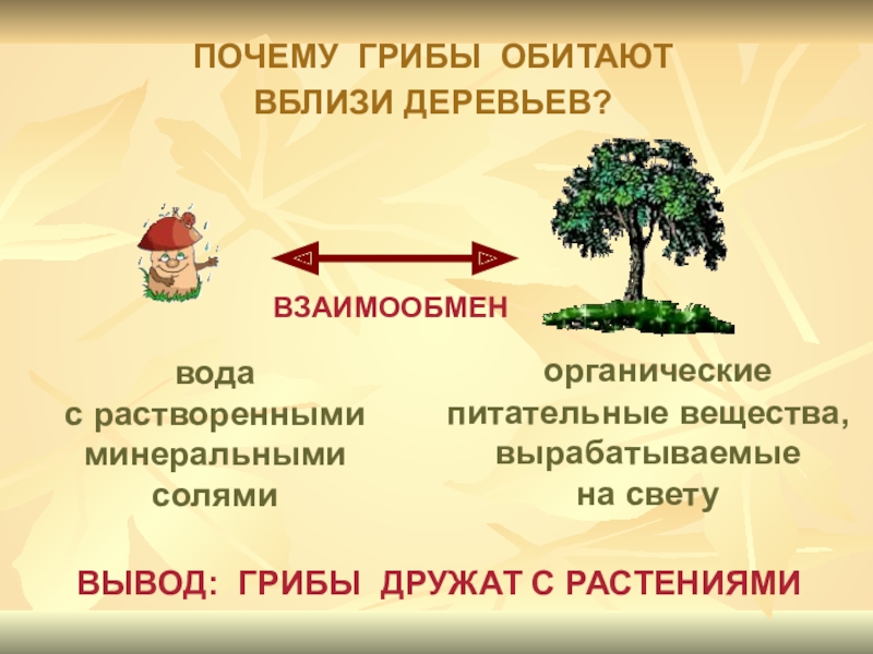 Питательные вещества 3 класс окружающий мир презентация