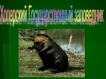 Презентация Хопёрский заповедник. Краеведение Природное наследие Воронежского края