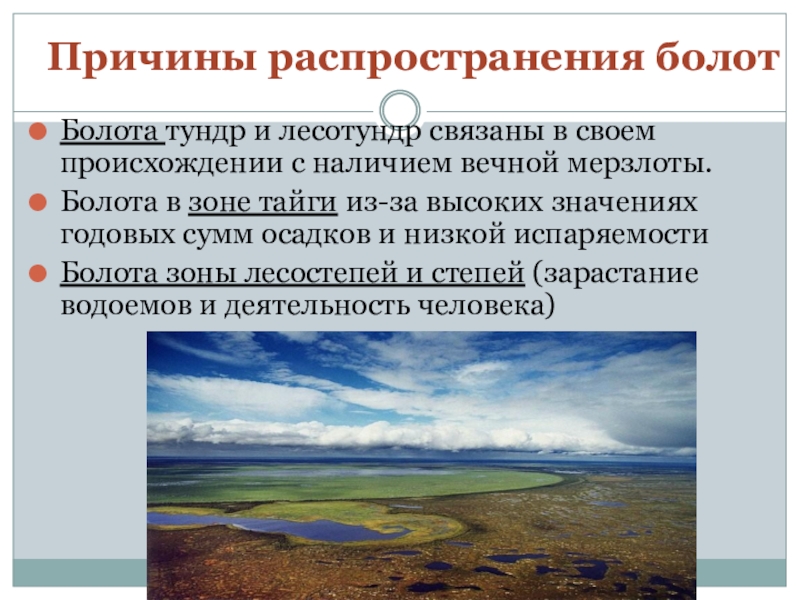 Широко распространенная информация. Причины распространения болот. Причины образования болот в России. Основные причины распространения болот в России. Причины болота.