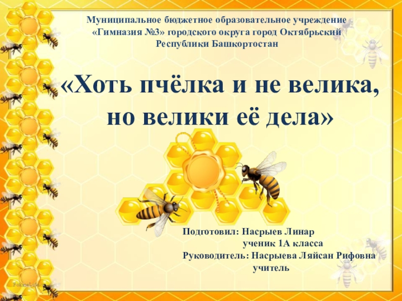 Презентация Проектная работа по башкирскому языку на тему Хоть пчёлка и не велика, но велики её дела