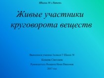 Презентация Живые участники круговорота