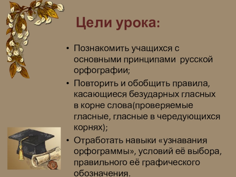 10 класс презентация принципы русской орфографии