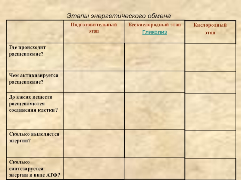 Что происходит на подготовительном этапе проекта