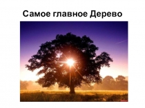 Разработка занятия Дерево жизнипо внеурочной деятельности по курсу Занимательная биология (5 класс)